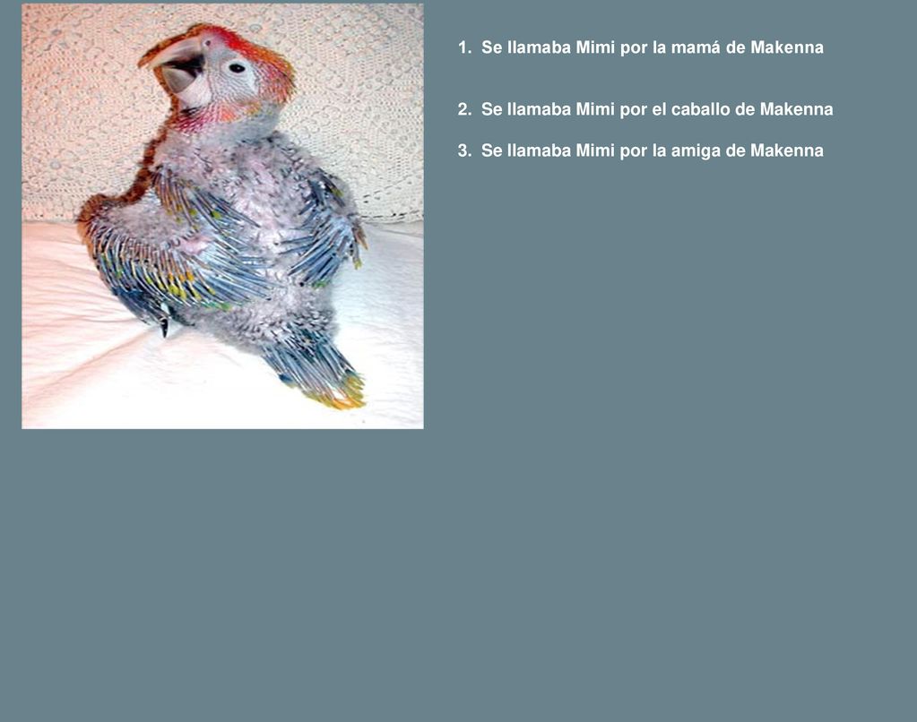 1. Se llamaba Mimi por la mamá de Makenna