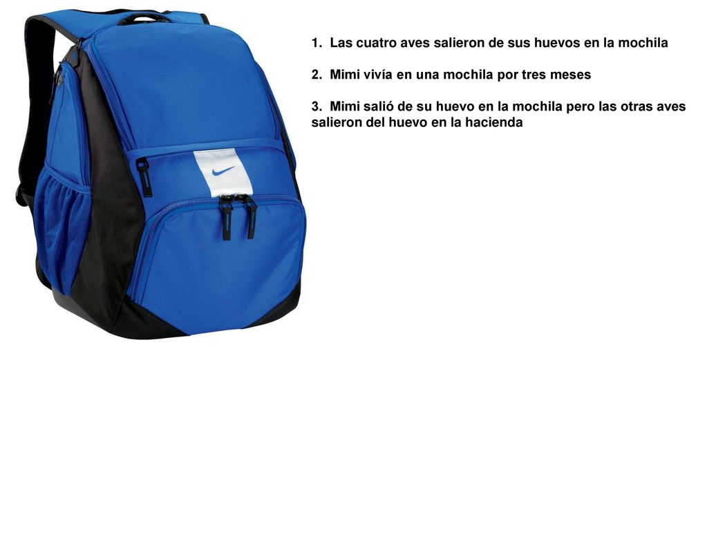 1. Las cuatro aves salieron de sus huevos en la mochila