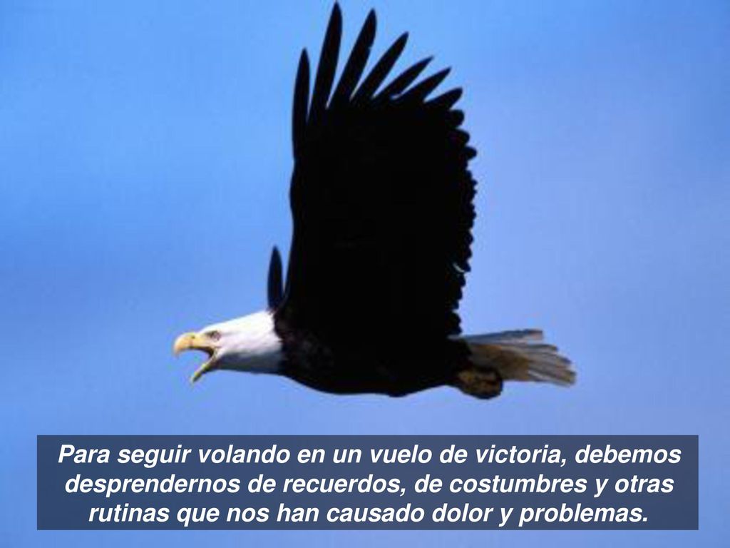Para seguir volando en un vuelo de victoria, debemos desprendernos de recuerdos, de costumbres y otras rutinas que nos han causado dolor y problemas.