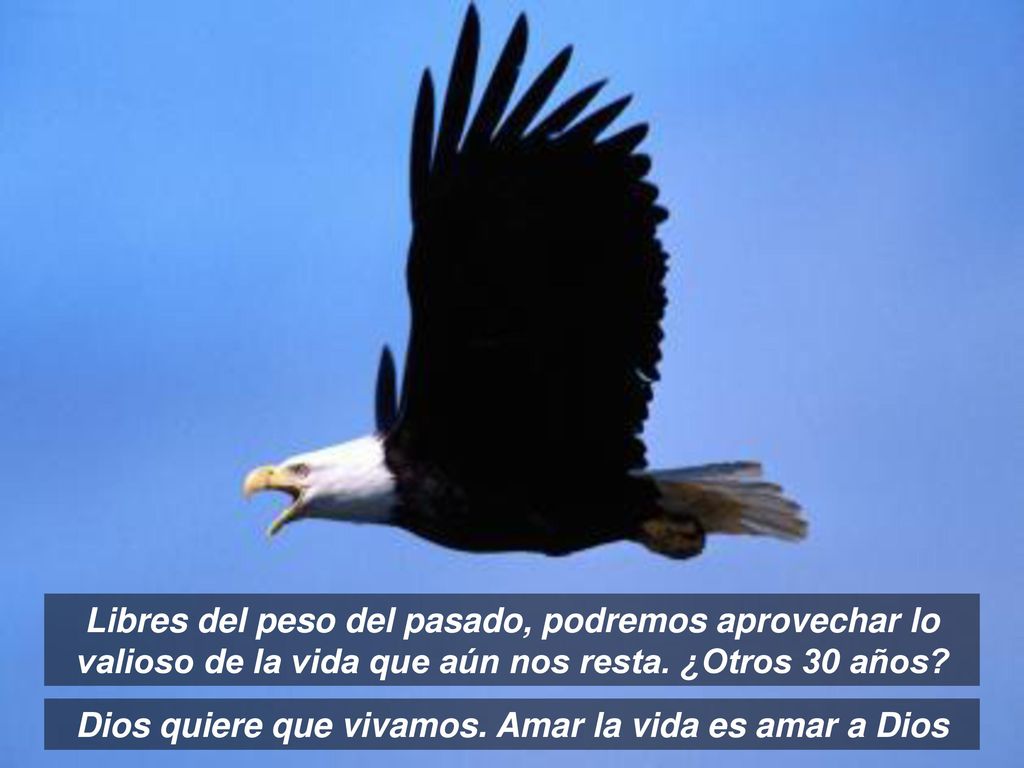Dios quiere que vivamos. Amar la vida es amar a Dios