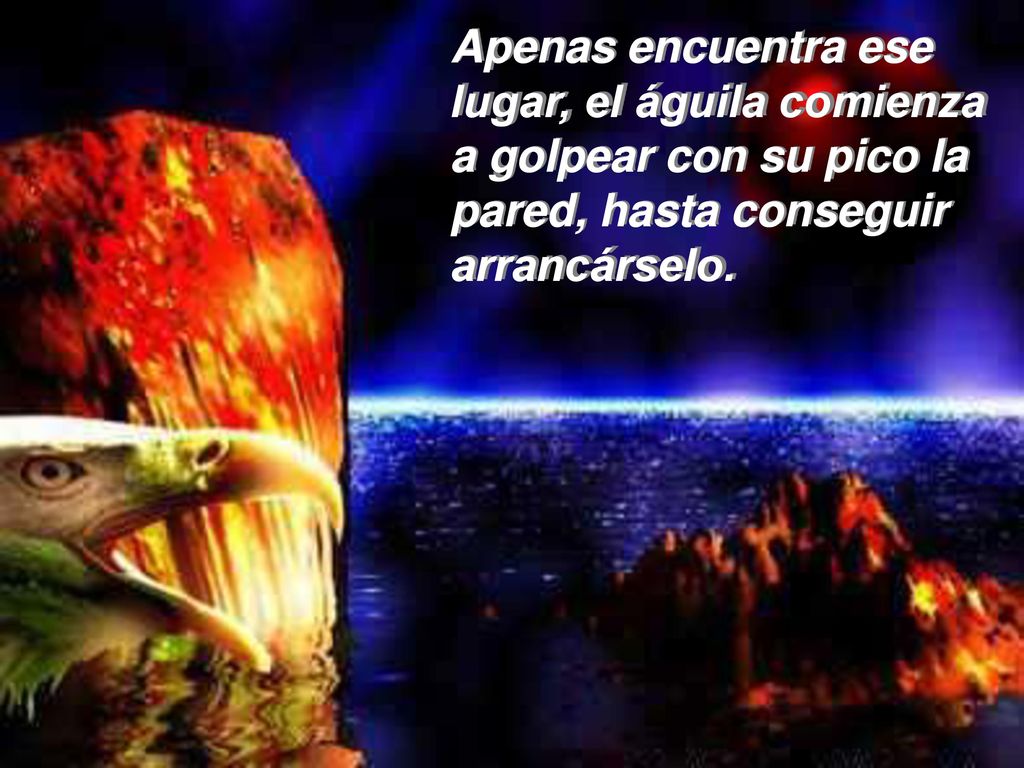 Apenas encuentra ese lugar, el águila comienza a golpear con su pico la pared, hasta conseguir arrancárselo.