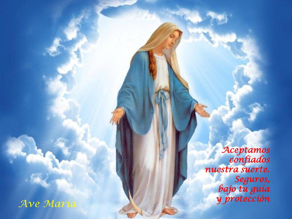 Ave María Aceptamos confiados nuestra suerte. Seguros, bajo tu guía