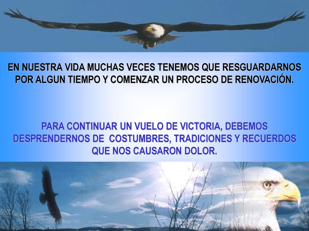 EN NUESTRA VIDA MUCHAS VECES TENEMOS QUE RESGUARDARNOS POR ALGUN TIEMPO Y COMENZAR UN PROCESO DE RENOVACIÓN.