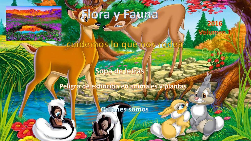 cuidemos lo que nos rodea Peligro de extinción en animales y plantas