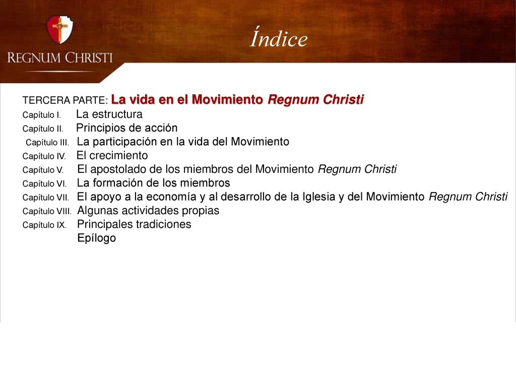Índice Capítulo III. La participación en la vida del Movimiento
