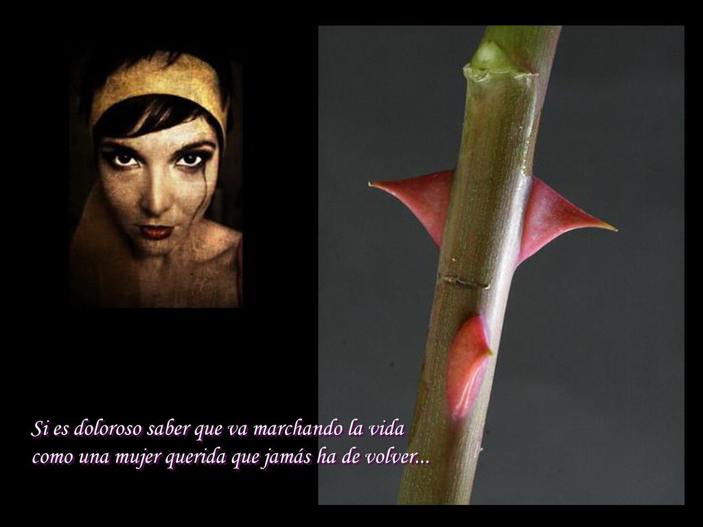 Si es doloroso saber que va marchando la vida