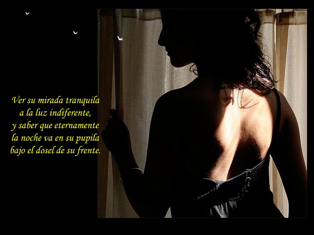 Ver su mirada tranquila a la luz indiferente, y saber que eternamente