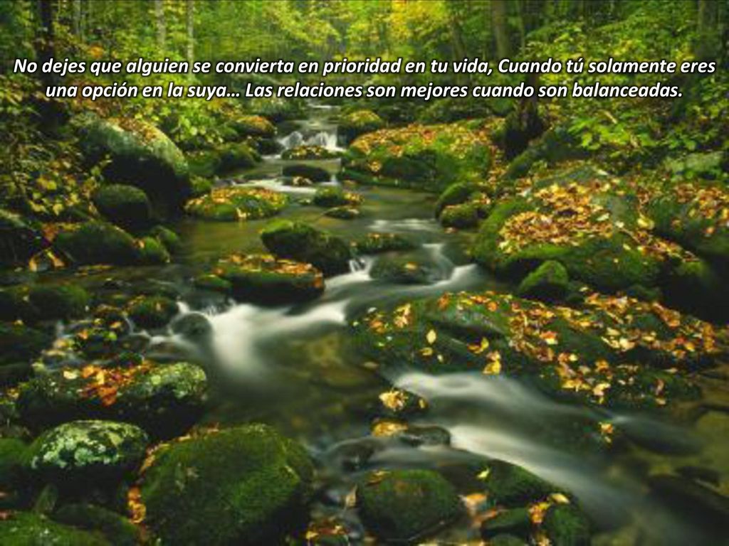 No dejes que alguien se convierta en prioridad en tu vida, Cuando tú solamente eres una opción en la suya… Las relaciones son mejores cuando son balanceadas.