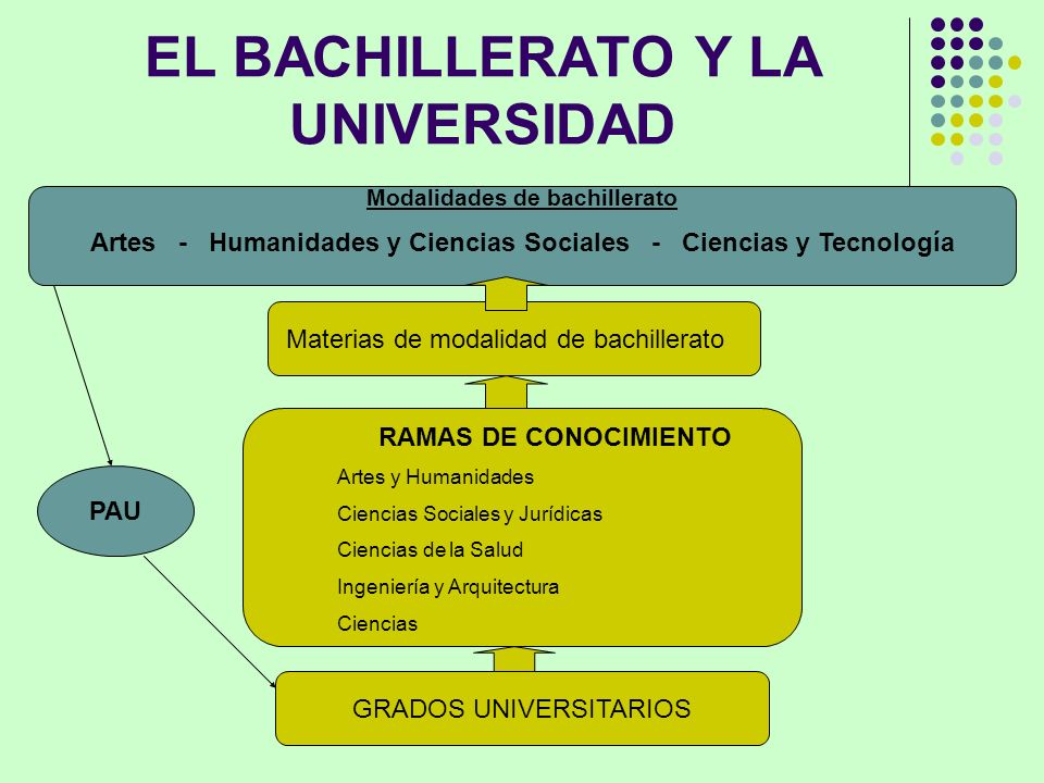 EL BACHILLERATO Y LA UNIVERSIDAD