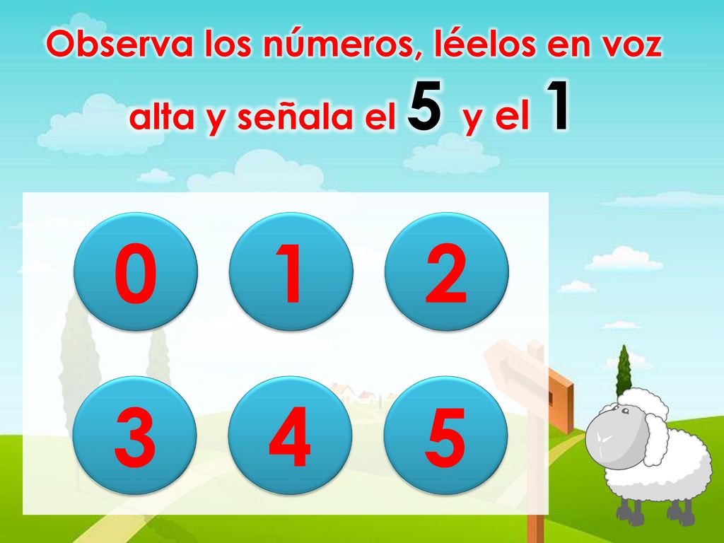 Observa los números, léelos en voz alta y señala el 5 y el 1
