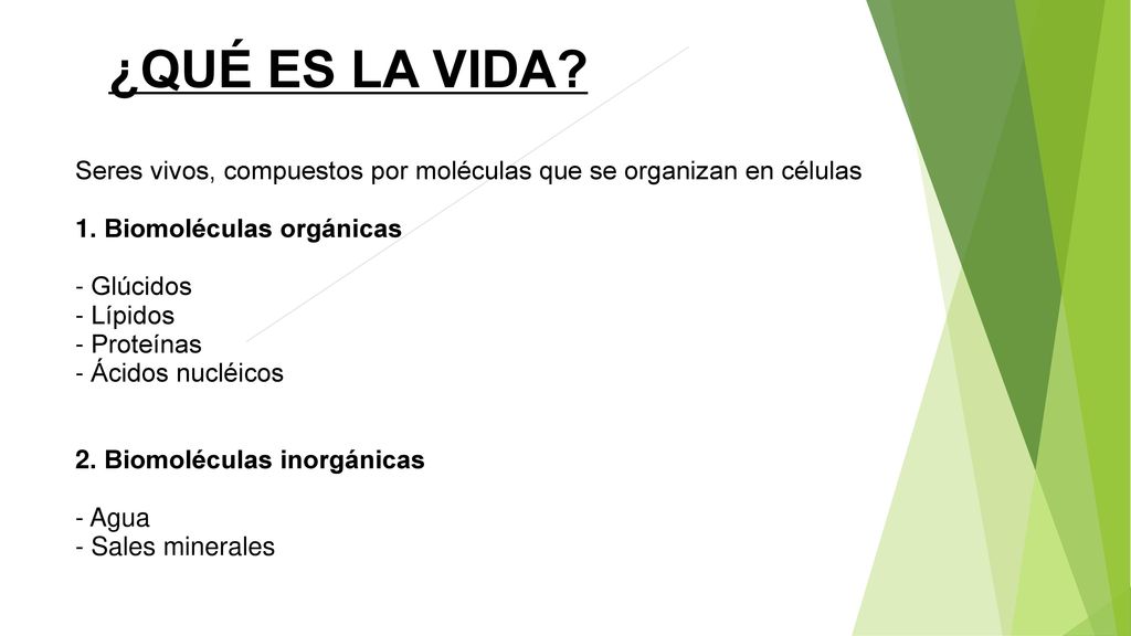 ¿QUÉ ES LA VIDA Seres vivos, compuestos por moléculas que se organizan en células. 1. Biomoléculas orgánicas.