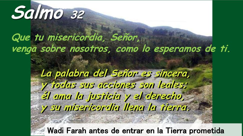 Salmo 32 Que tu misericordia, Señor, venga sobre nosotros, como lo esperamos de ti. La palabra del Señor es sincera,