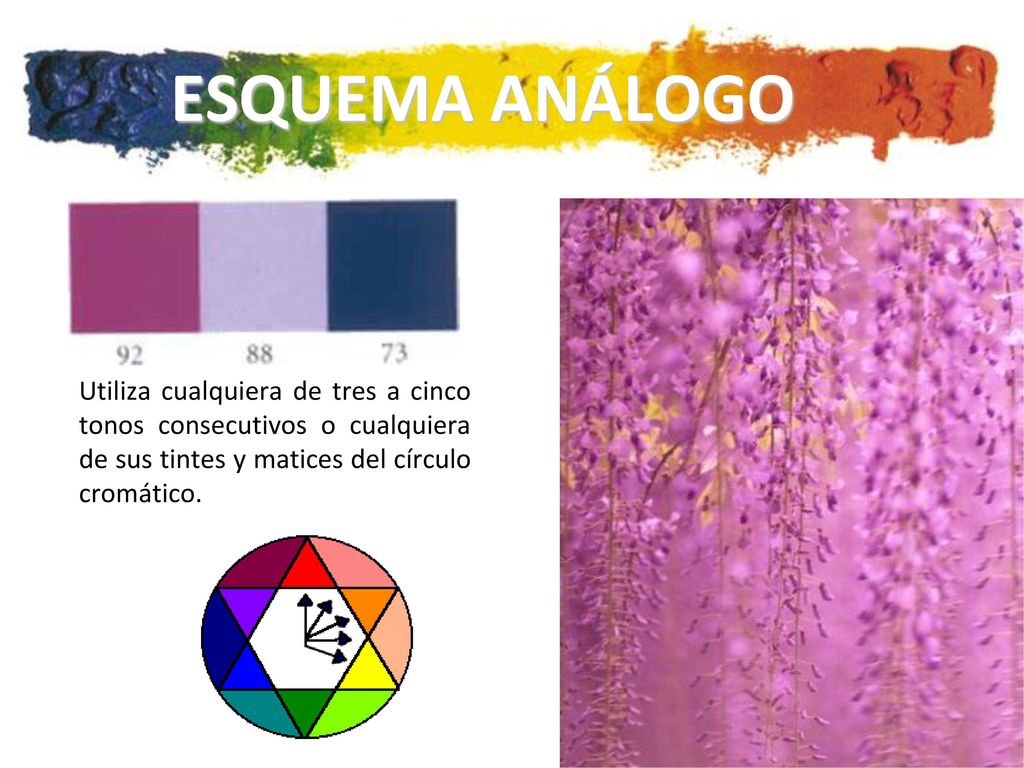 ESQUEMA ANÁLOGO Utiliza cualquiera de tres a cinco tonos consecutivos o cualquiera de sus tintes y matices del círculo cromático.