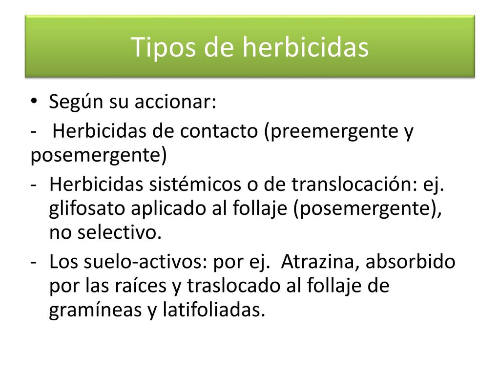 Tipos de herbicidas Según su accionar: