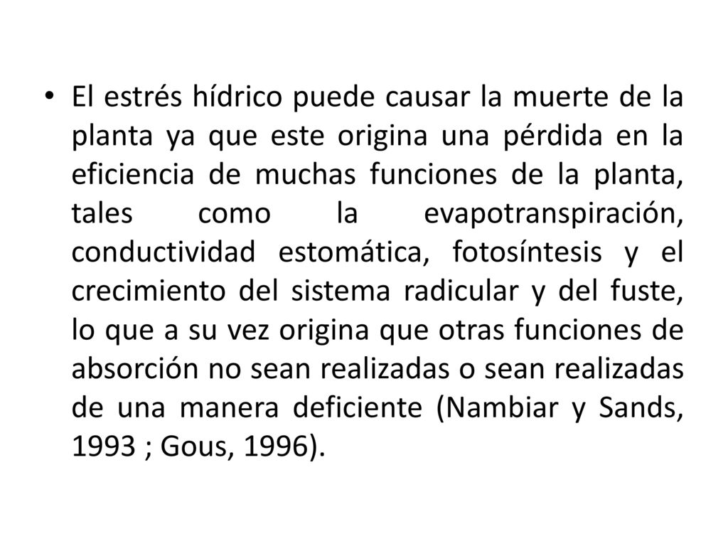 El estrés hídrico puede causar la muerte de la planta ya que este origina una pérdida en la eficiencia de muchas funciones de la planta, tales como la evapotranspiración, conductividad estomática, fotosíntesis y el crecimiento del sistema radicular y del fuste, lo que a su vez origina que otras funciones de absorción no sean realizadas o sean realizadas de una manera deficiente (Nambiar y Sands, 1993 ; Gous, 1996).