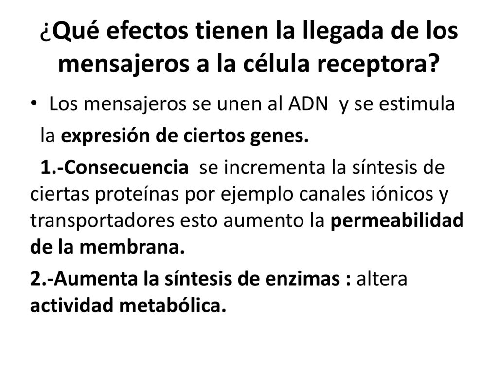 ¿Qué efectos tienen la llegada de los mensajeros a la célula receptora