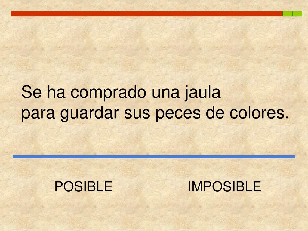 Se ha comprado una jaula para guardar sus peces de colores.