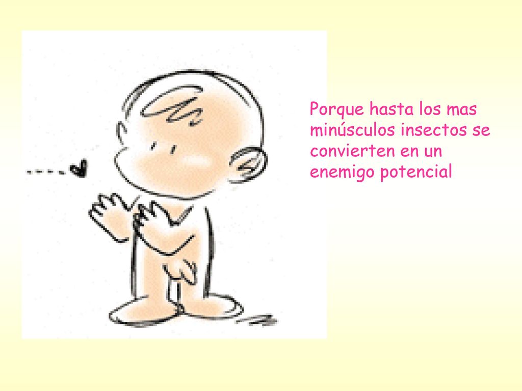 Porque hasta los mas minúsculos insectos se convierten en un enemigo potencial