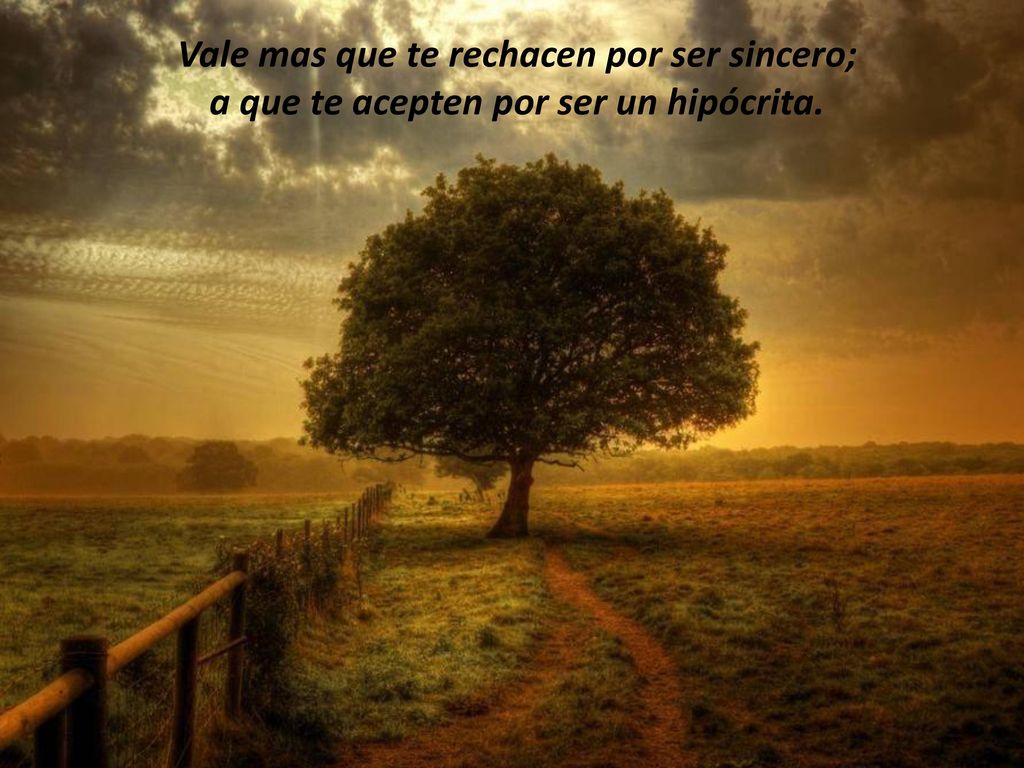 Vale mas que te rechacen por ser sincero; a que te acepten por ser un hipócrita.