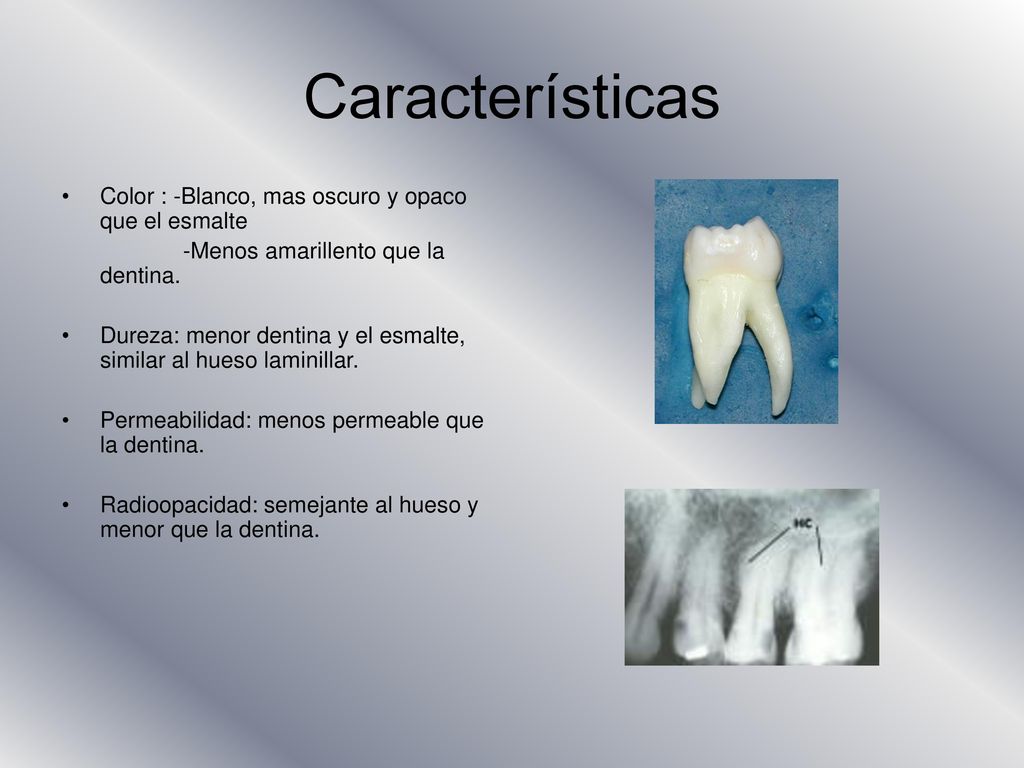 Características Color : -Blanco, mas oscuro y opaco que el esmalte