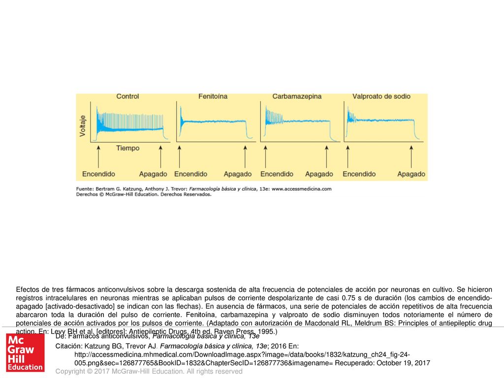 Efectos de tres fármacos anticonvulsivos sobre la descarga sostenida de alta frecuencia de potenciales de acción por neuronas en cultivo. Se hicieron registros intracelulares en neuronas mientras se aplicaban pulsos de corriente despolarizante de casi 0.75 s de duración (los cambios de encendido-apagado [activado-desactivado] se indican con las flechas). En ausencia de fármacos, una serie de potenciales de acción repetitivos de alta frecuencia abarcaron toda la duración del pulso de corriente. Fenitoína, carbamazepina y valproato de sodio disminuyen todos notoriamente el número de potenciales de acción activados por los pulsos de corriente. (Adaptado con autorización de Macdonald RL, Meldrum BS: Principles of antiepileptic drug action. En: Levy RH et al. [editores]: Antiepileptic Drugs, 4th ed. Raven Press, 1995.)