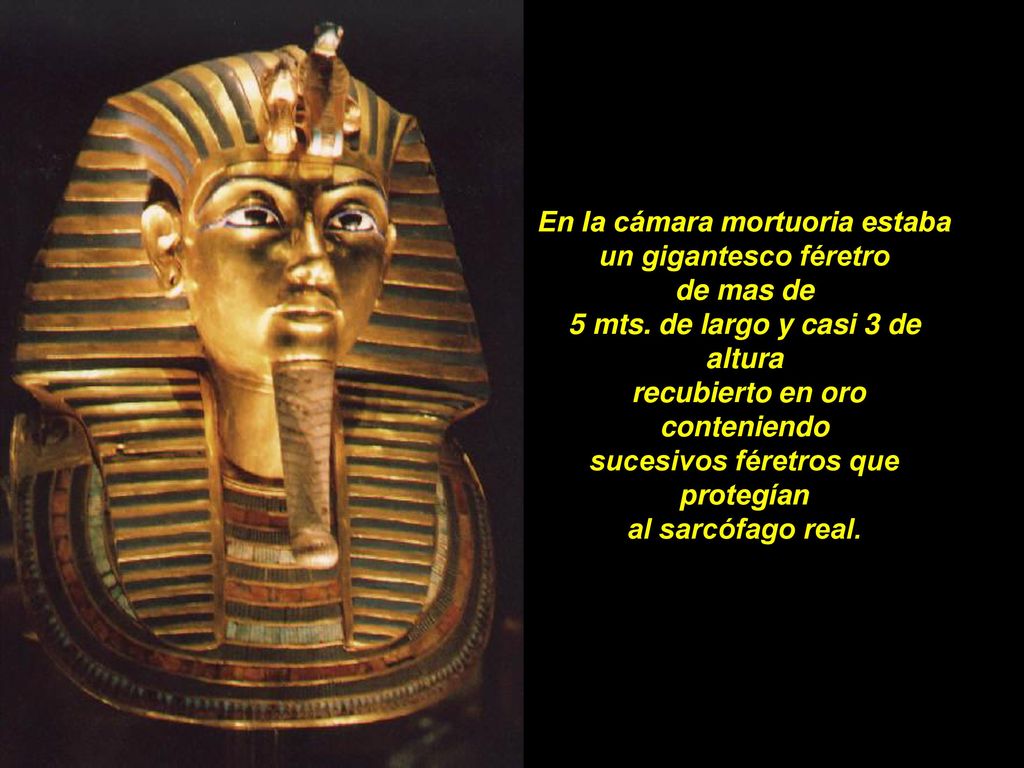 En la cámara mortuoria estaba un gigantesco féretro de mas de