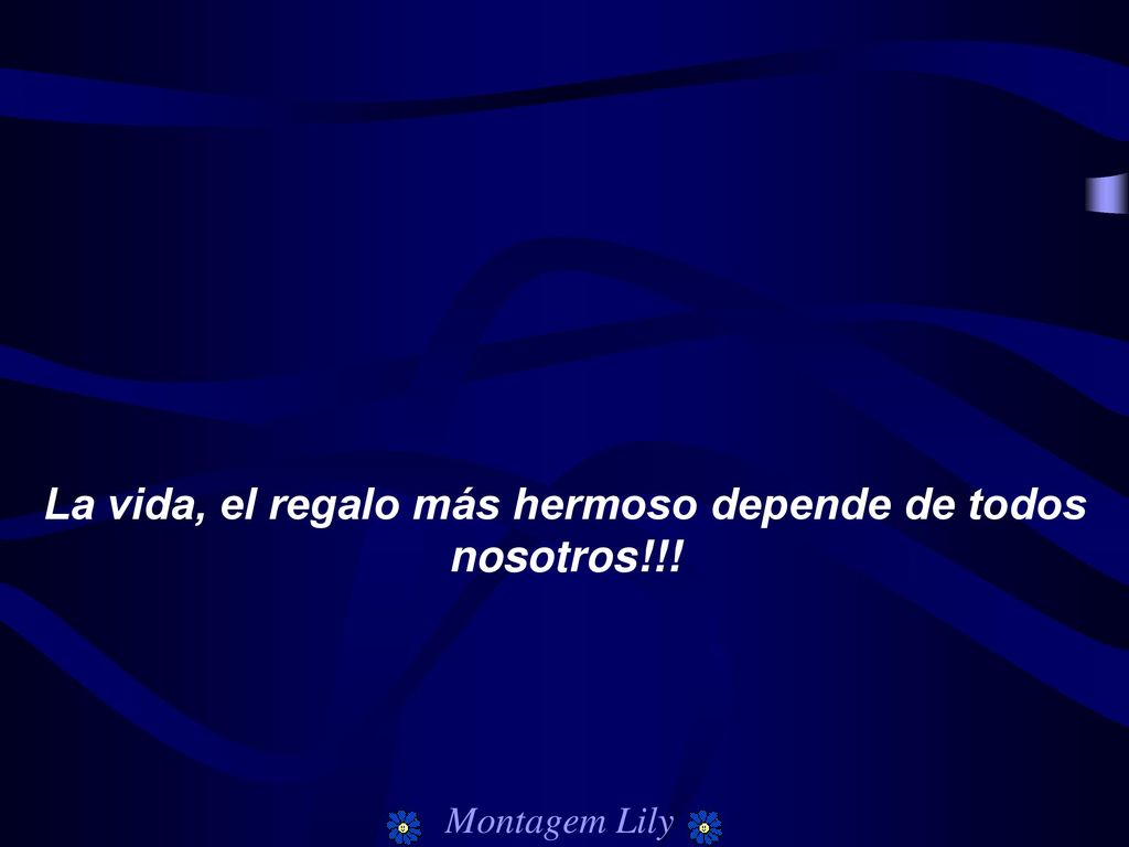 La vida, el regalo más hermoso depende de todos nosotros!!!