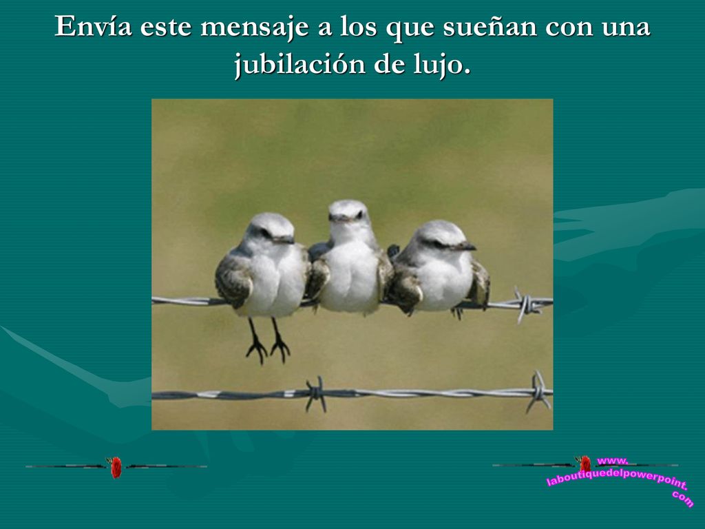 Envía este mensaje a los que sueñan con una jubilación de lujo.