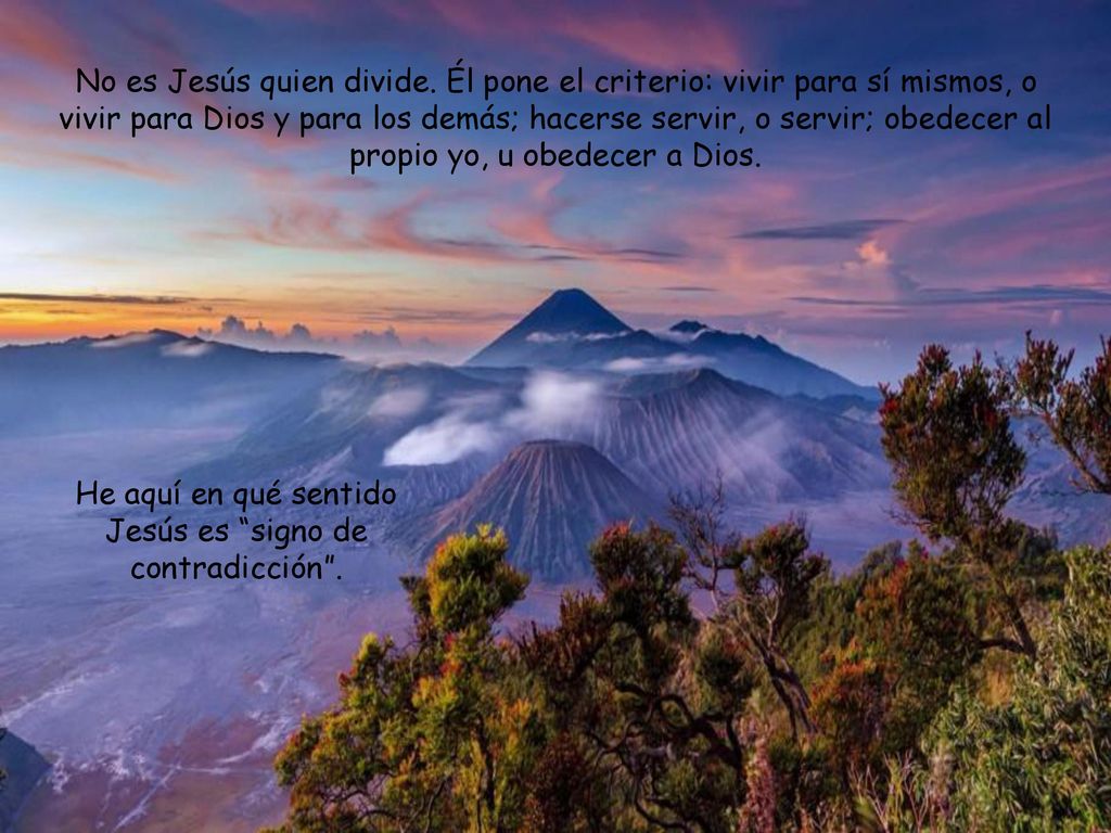 He aquí en qué sentido Jesús es signo de contradicción .