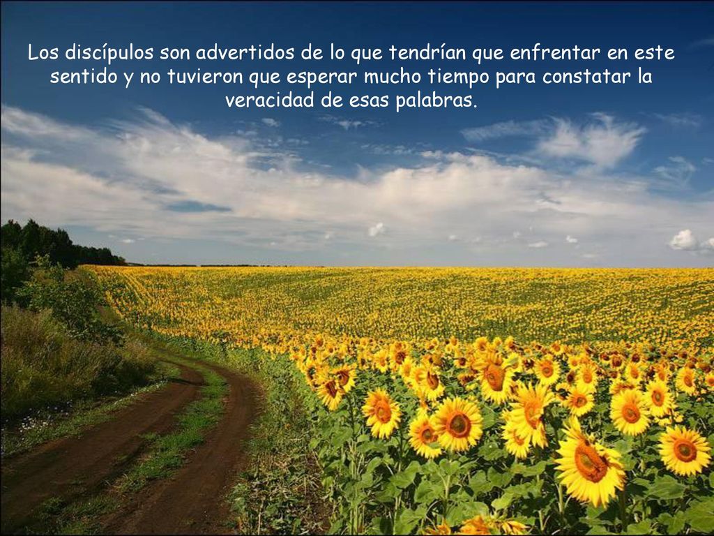 Los discípulos son advertidos de lo que tendrían que enfrentar en este sentido y no tuvieron que esperar mucho tiempo para constatar la veracidad de esas palabras.