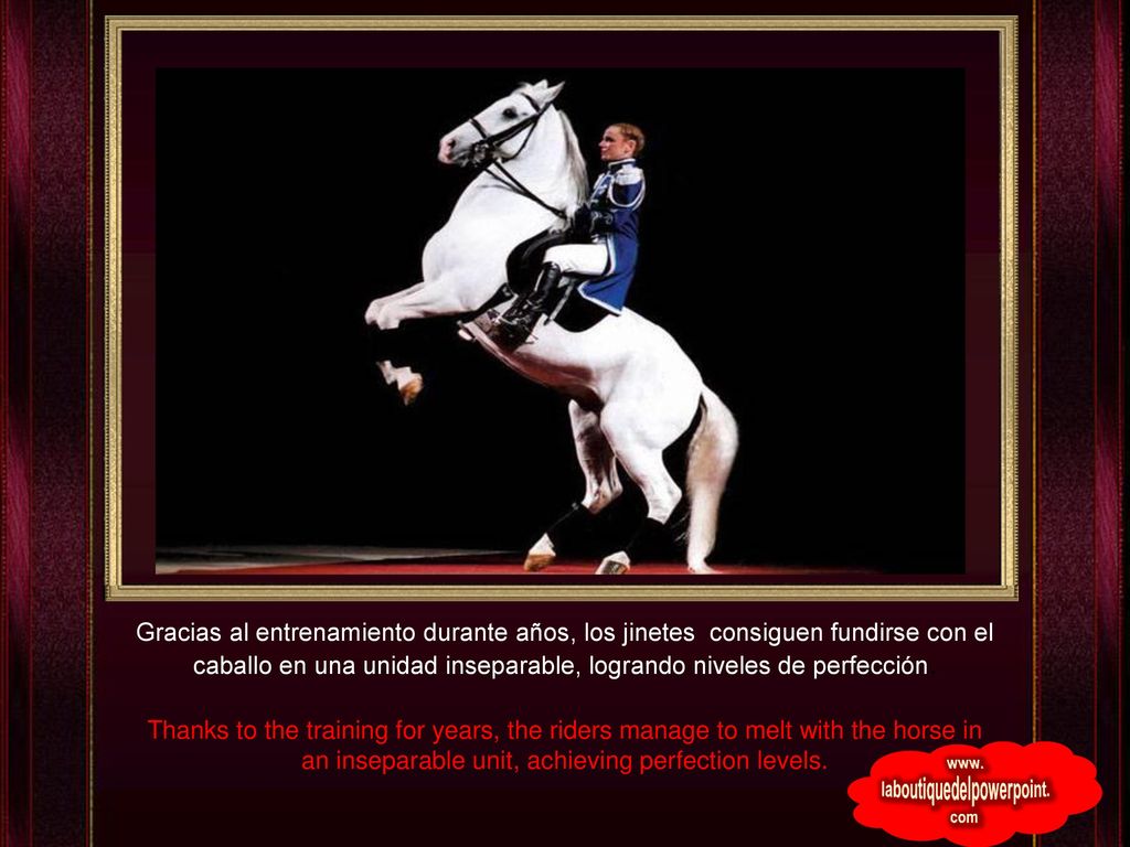 Gracias al entrenamiento durante años, los jinetes consiguen fundirse con el caballo en una unidad inseparable, logrando niveles de perfección.