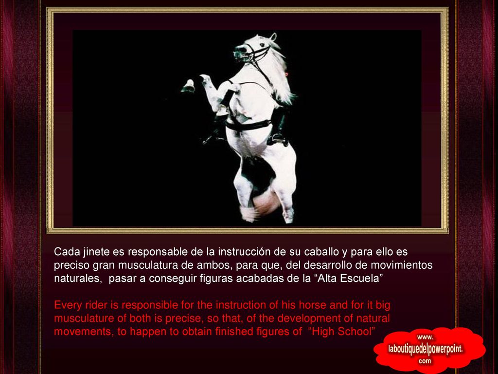 Cada jinete es responsable de la instrucción de su caballo y para ello es preciso gran musculatura de ambos, para que, del desarrollo de movimientos naturales, pasar a conseguir figuras acabadas de la Alta Escuela