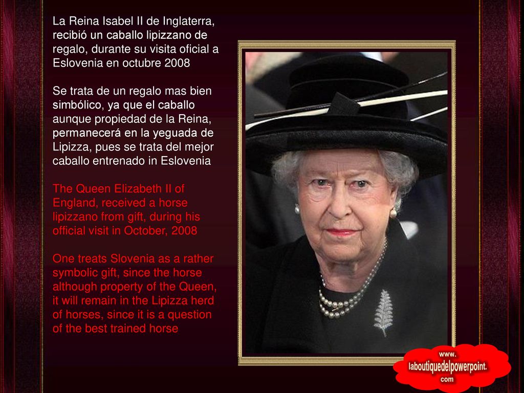La Reina Isabel II de Inglaterra, recibió un caballo lipizzano de regalo, durante su visita oficial a Eslovenia en octubre 2008