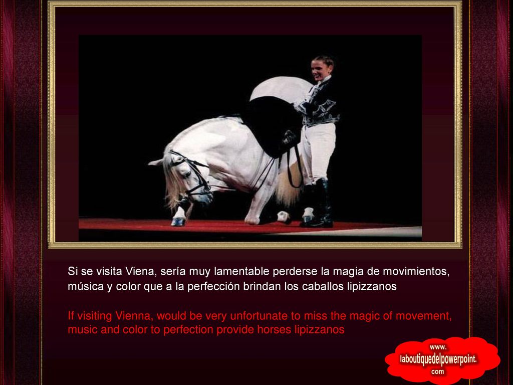 Si se visita Viena, sería muy lamentable perderse la magia de movimientos, música y color que a la perfección brindan los caballos lipizzanos