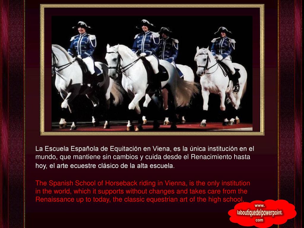 La Escuela Española de Equitación en Viena, es la única institución en el mundo, que mantiene sin cambios y cuida desde el Renacimiento hasta hoy, el arte ecuestre clásico de la alta escuela.