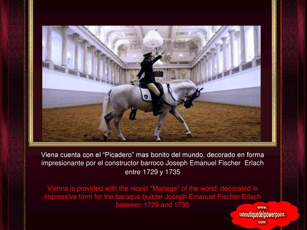 Viena cuenta con el Picadero mas bonito del mundo, decorado en forma impresionante por el constructor barroco Joseph Emanuel Fischer Erlach entre 1729 y 1735