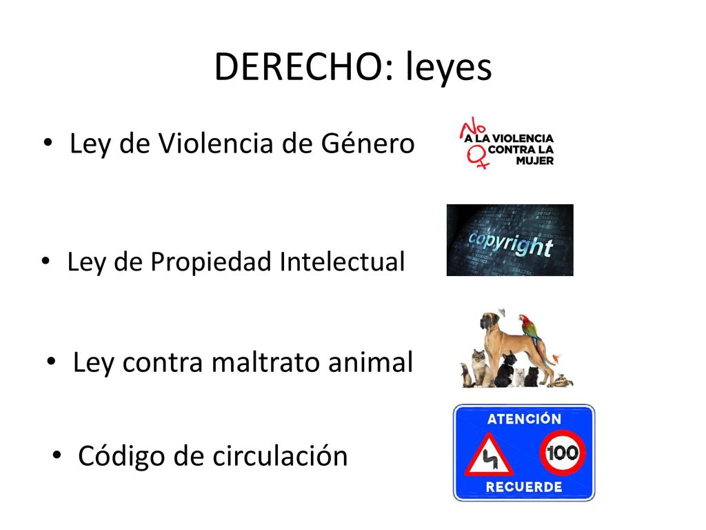 DERECHO: leyes Ley de Violencia de Género Ley contra maltrato animal