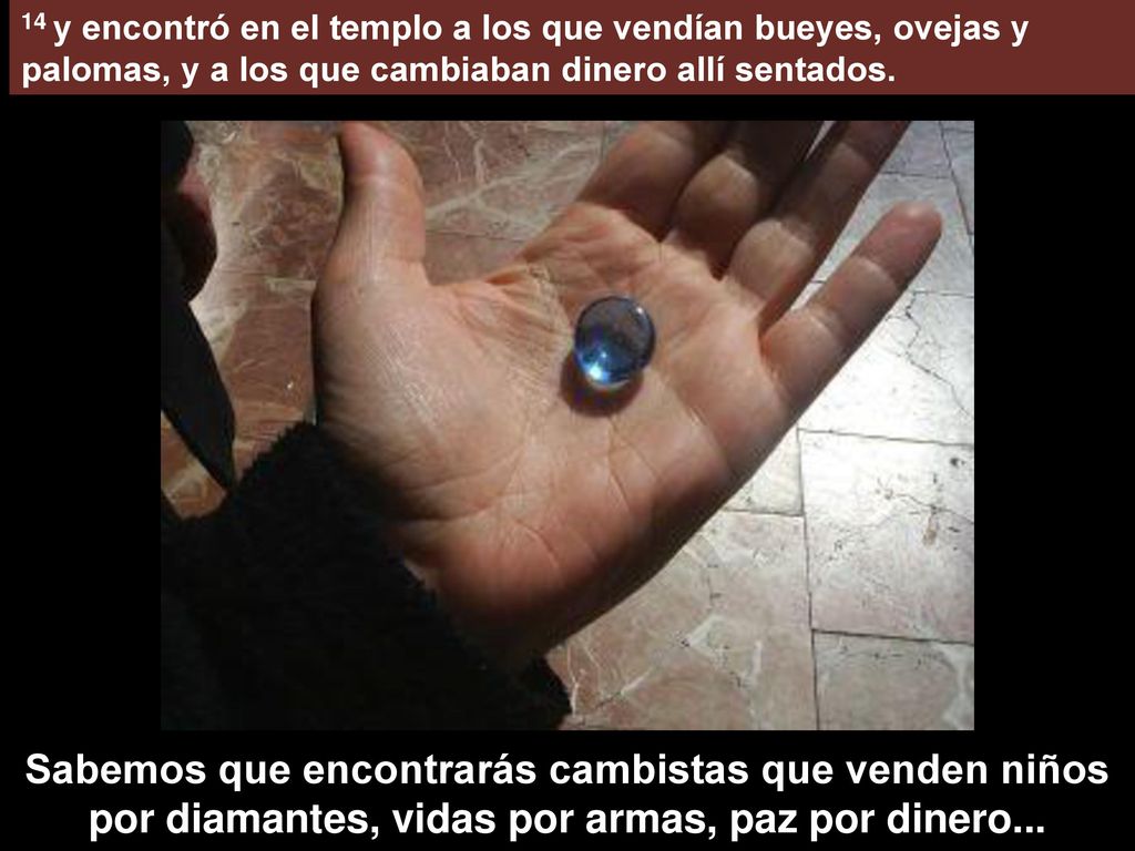 14 y encontró en el templo a los que vendían bueyes, ovejas y palomas, y a los que cambiaban dinero allí sentados.