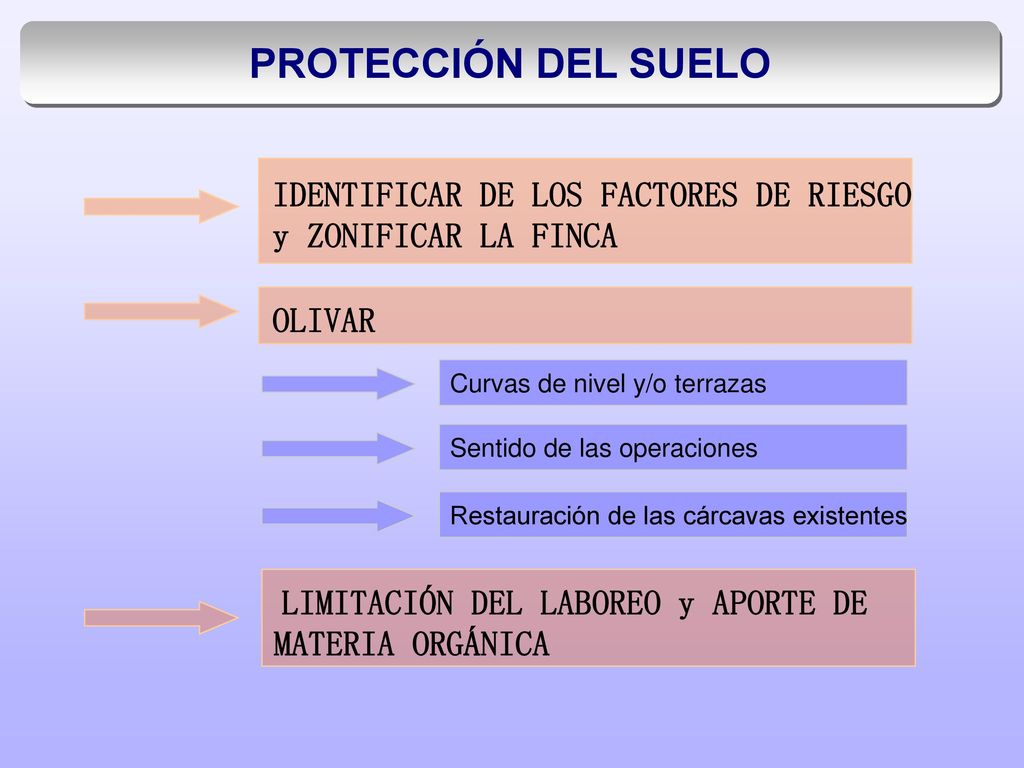 PROTECCIÓN DEL SUELO IDENTIFICAR DE LOS FACTORES DE RIESGO y ZONIFICAR LA FINCA. OLIVAR. Curvas de nivel y/o terrazas.