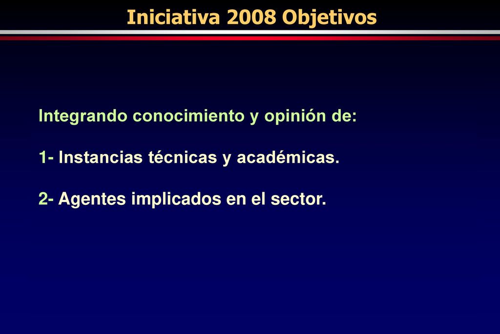 Iniciativa 2008 Objetivos Revisar y documentar con la última información disponible la respuesta a: