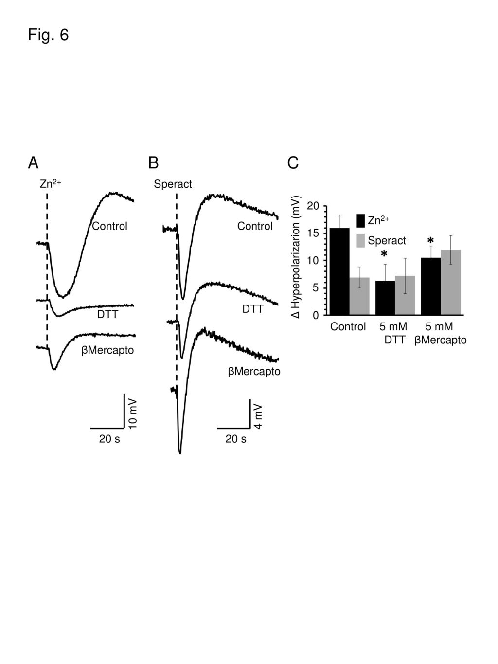 Fig. 6 A B C * * Zn2+ Speract 20 █ Zn2+ █ Speract Control Control 15