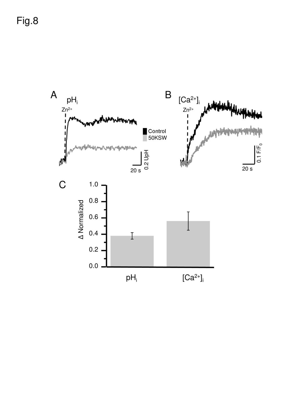 Fig.8 A B C pHi [Ca2+]i pHi [Ca2+]i Δ Normalized