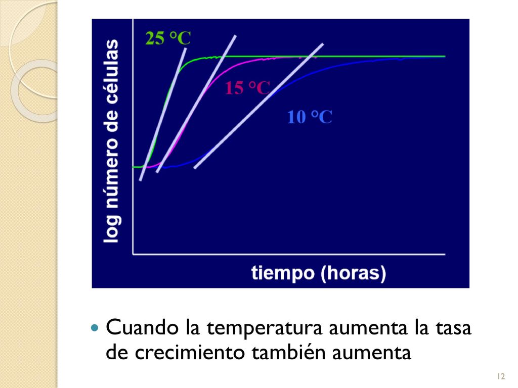 Cuando la temperatura aumenta la tasa de crecimiento también aumenta