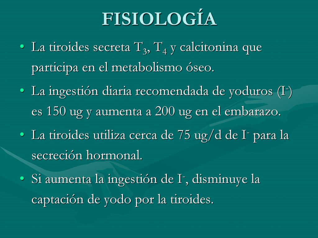 FISIOLOGÍA La tiroides secreta T3, T4 y calcitonina que participa en el metabolismo óseo.