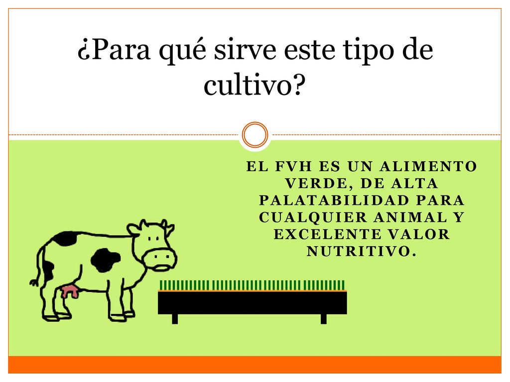 ¿Para qué sirve este tipo de cultivo