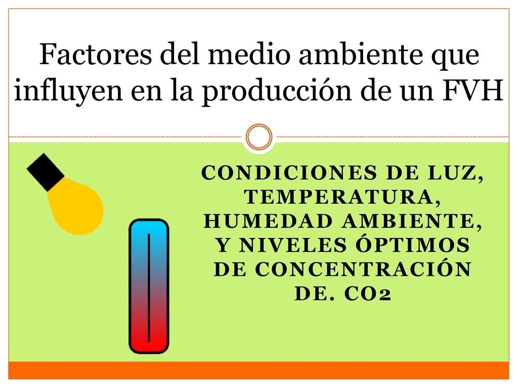 Factores del medio ambiente que influyen en la producción de un FVH