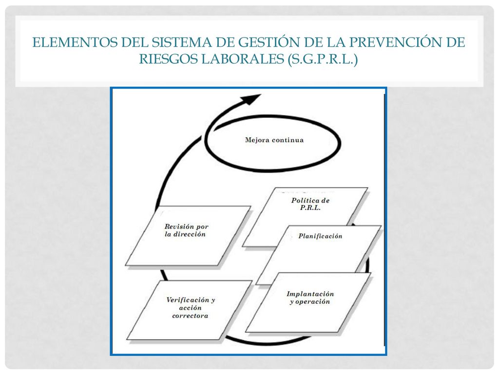 Elementos del sistema de gestión de la prevención de riesgos laborales (S.G.P.R.L.)