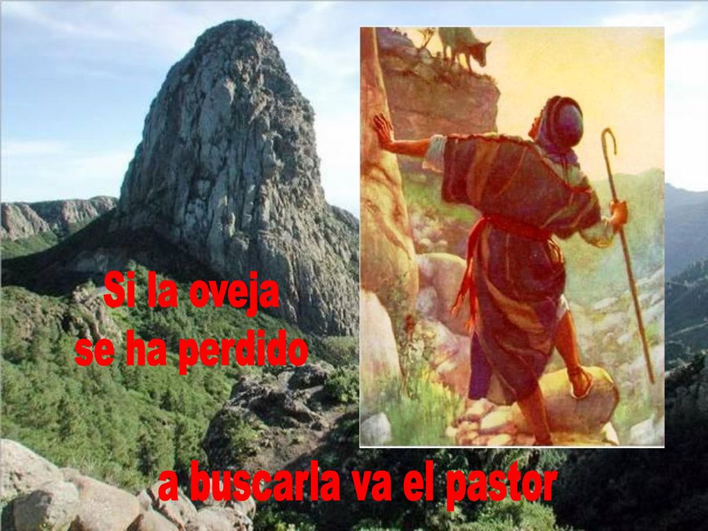 Si la oveja se ha perdido a buscarla va el pastor