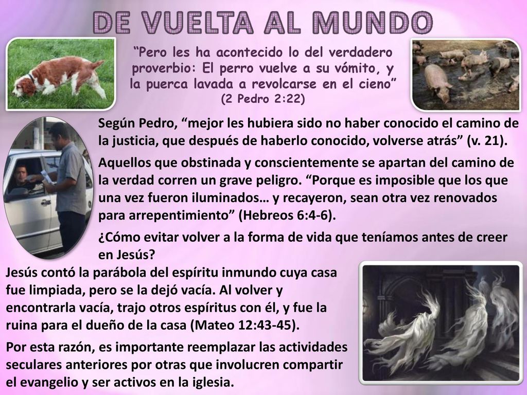 Pero les ha acontecido lo del verdadero proverbio: El perro vuelve a su vómito, y la puerca lavada a revolcarse en el cieno