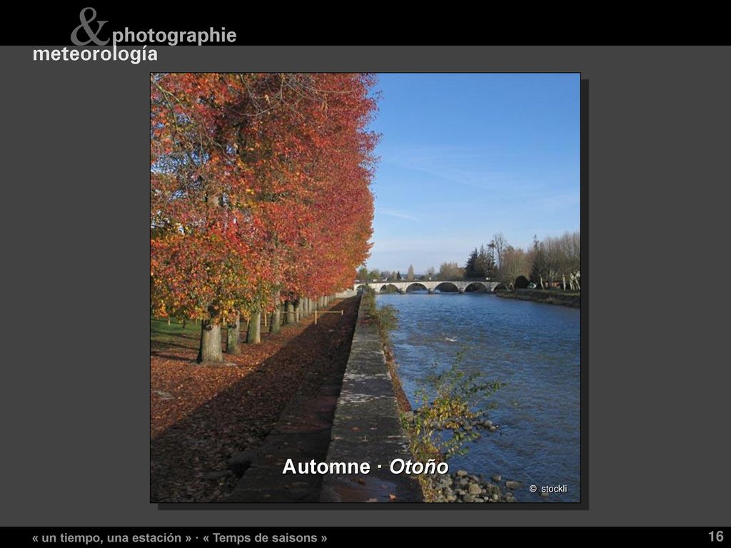 Automne · Otoño « un tiempo, una estación » · « Temps de saisons »